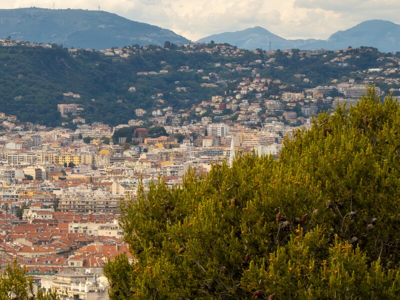 Colline du Château  2025-05-11 1-17