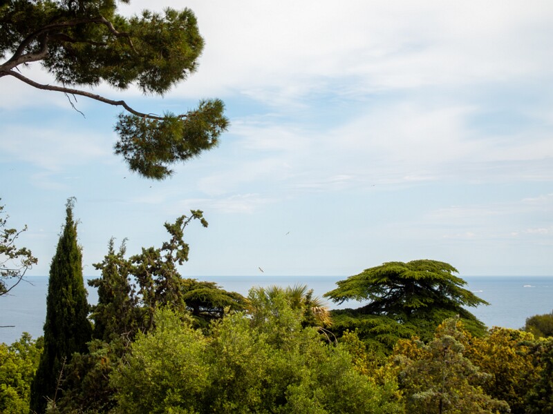 Colline du Château  2025-05-11 1-20