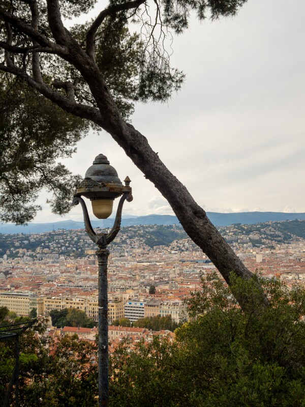 Colline du Château  2025-05-11 1-29