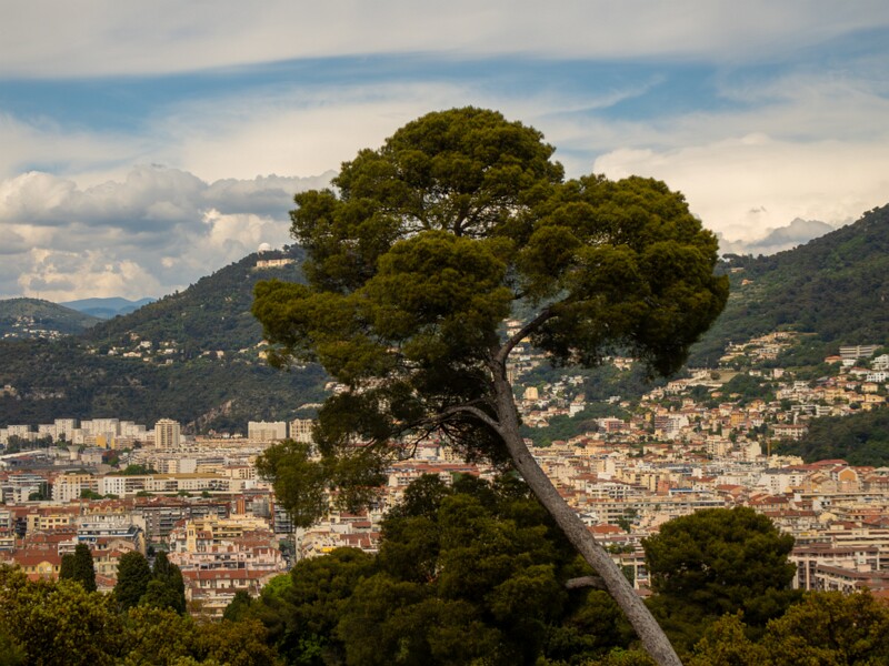 Colline du Château  2025-05-11 1-7