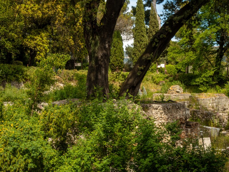 Castle hill forest  2025-05-11 1-5