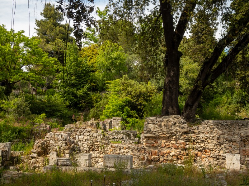 Castle hill forest  2025-05-11 1-7