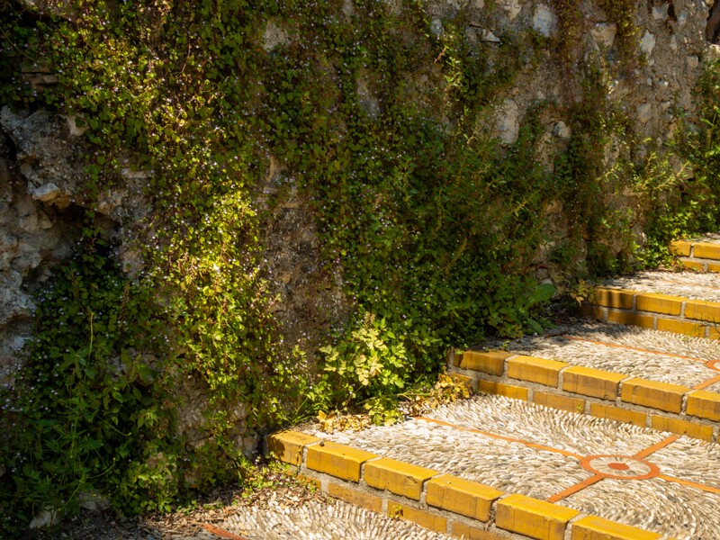 Colline du Château  2025-05-14 2-1