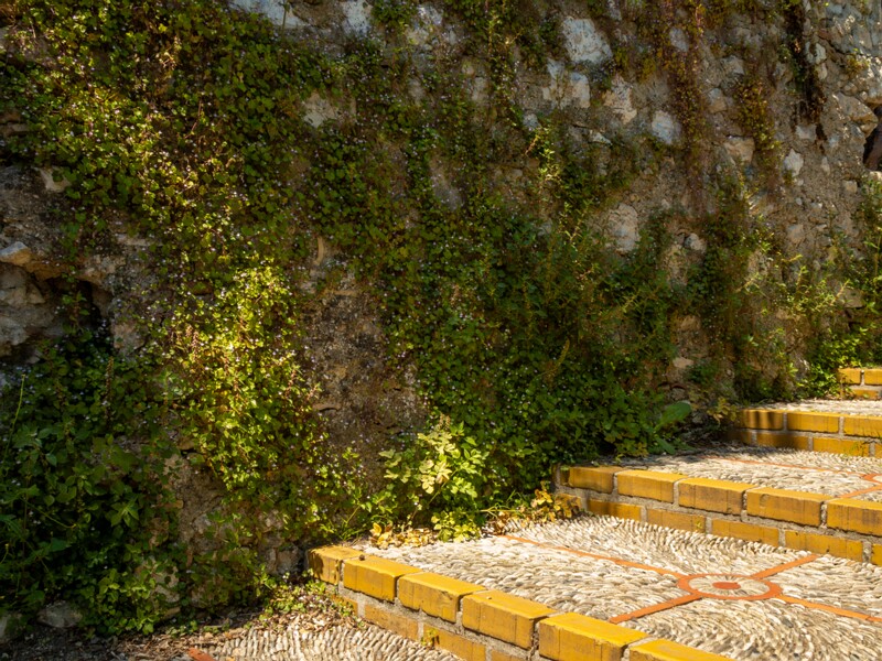 Colline du Château  2025-05-14 2-2