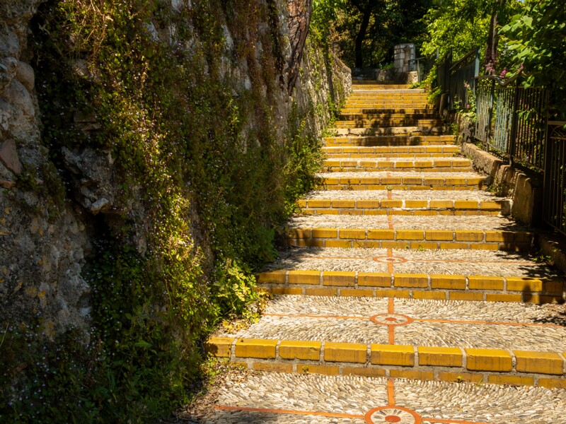 Colline du Château  2025-05-14 2-3