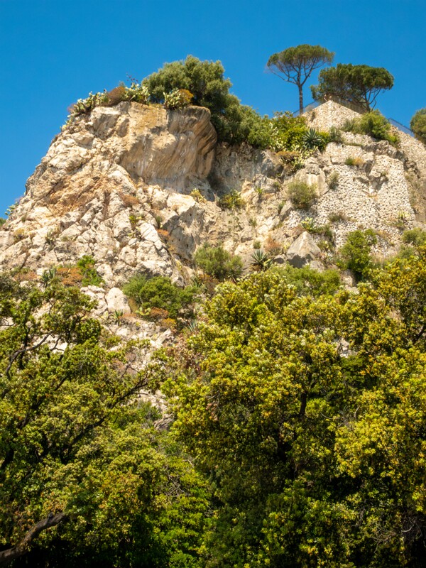 Château de Nice  2025-05-14 1-1