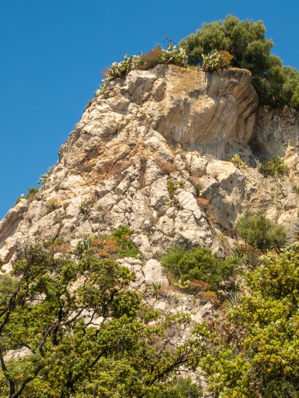 Château de Nice  2025-05-14 1-2